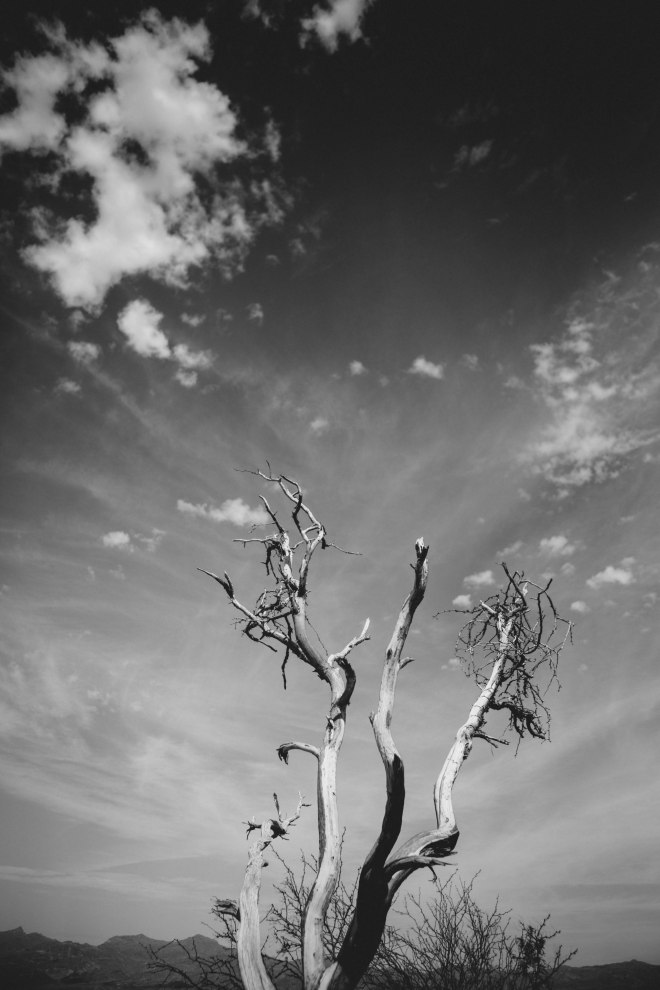 Aude Arnaud Nantes 49